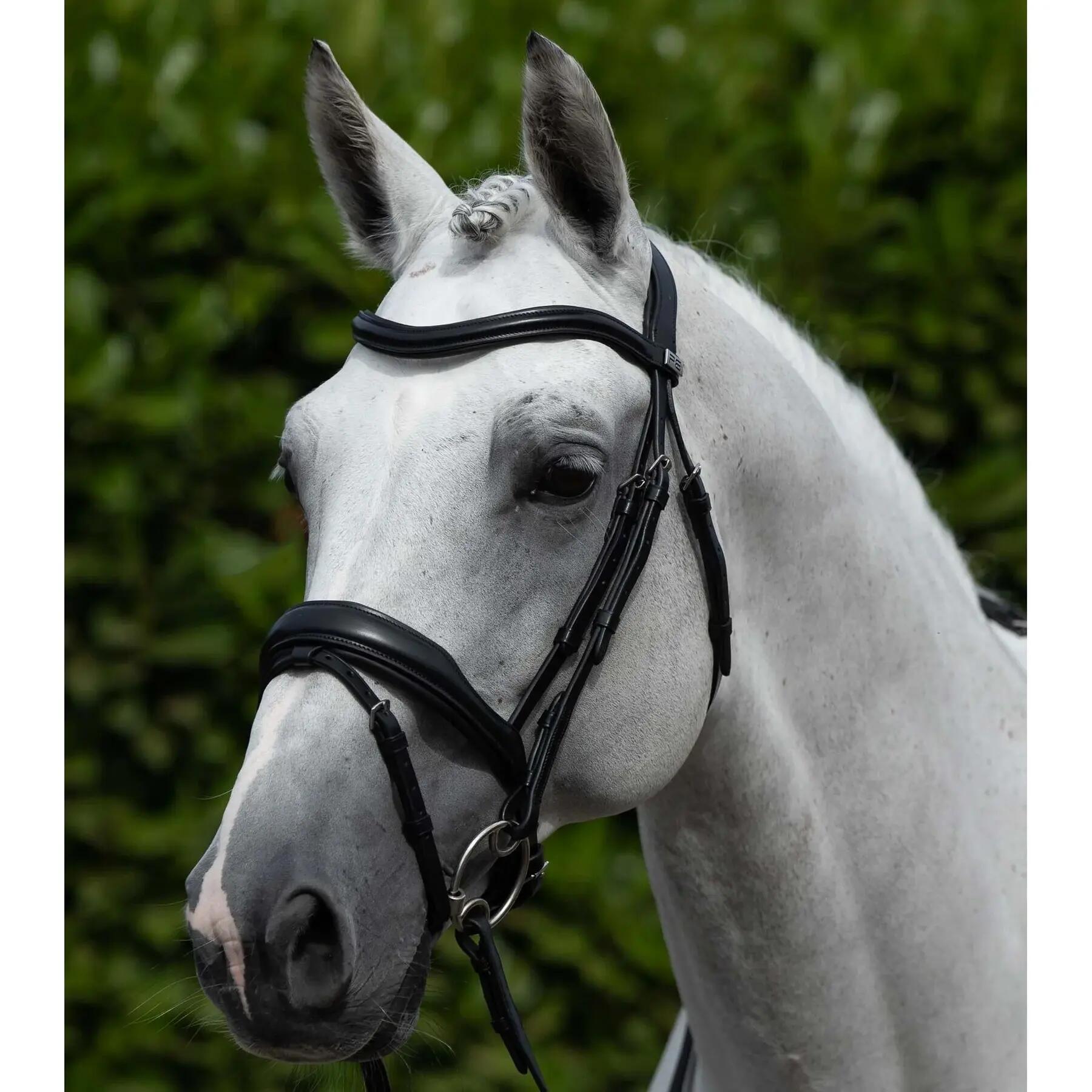 Bridon anatomique avec muserolle combinée Premier Equine Rizzo 2/4