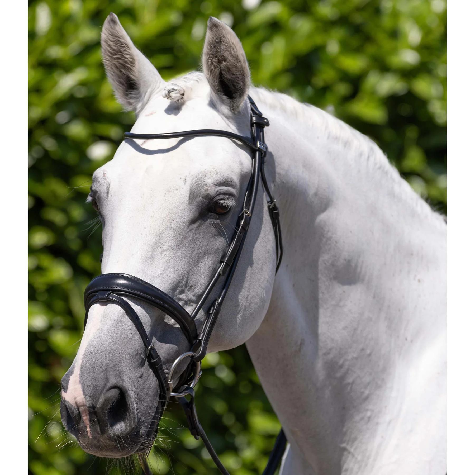 Fivela de equitação Premier Equine Finetti 2/5
