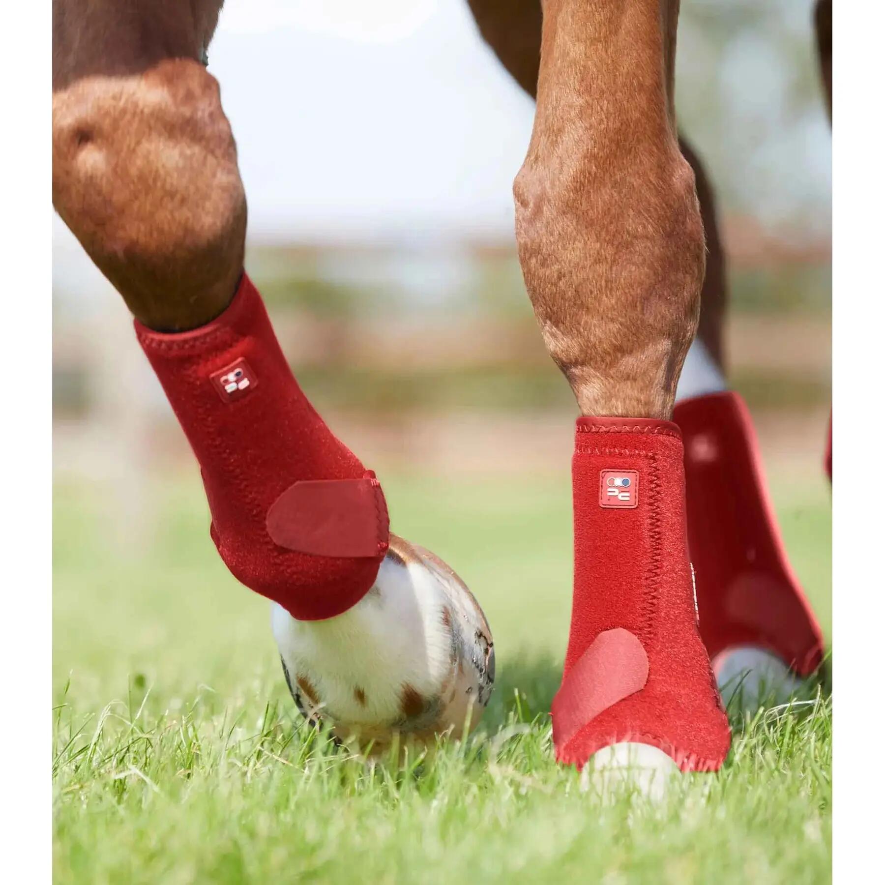 Horse gaiters Premier Equine Air-Tech Sports Medecine 2/4