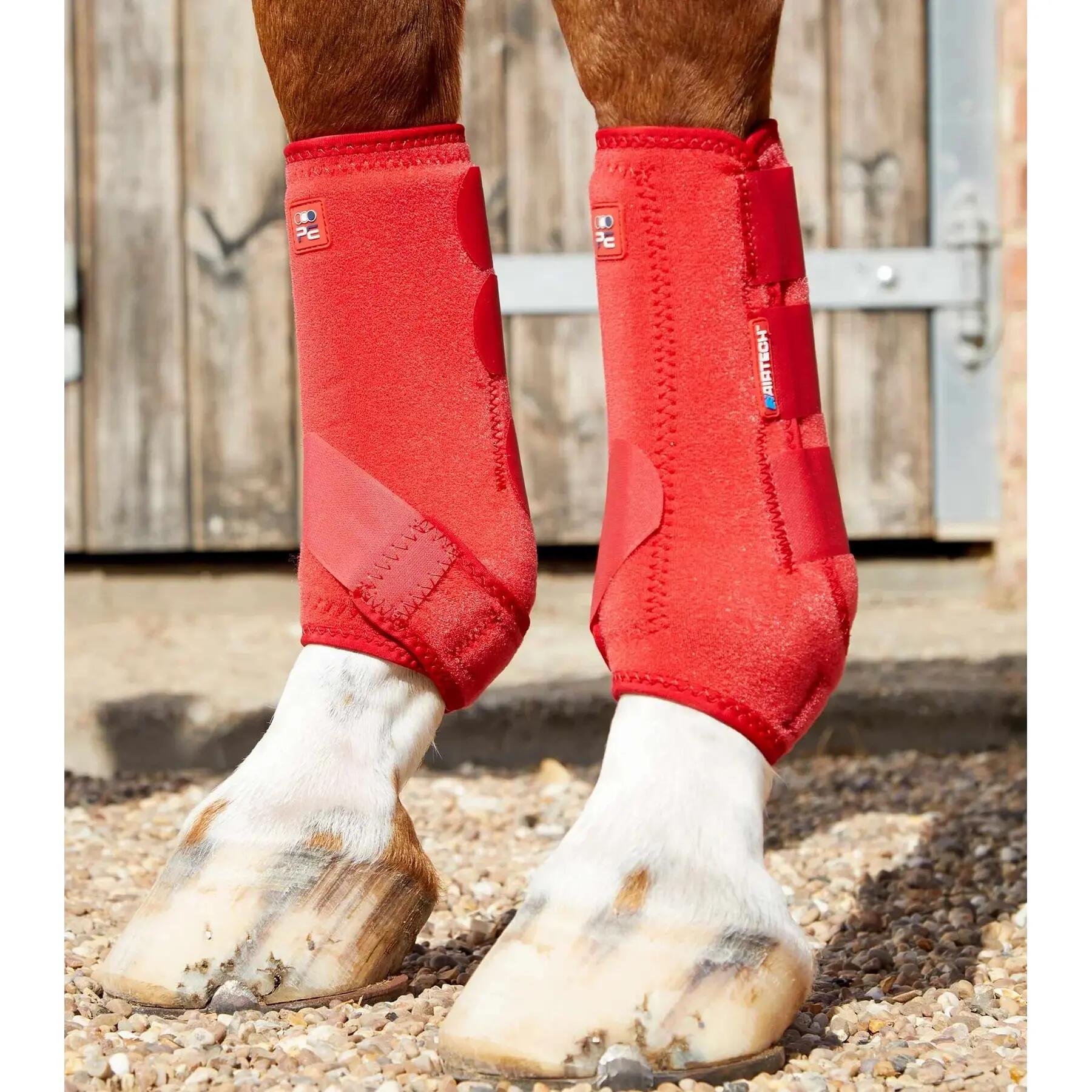 PREMIER EQUINE picture