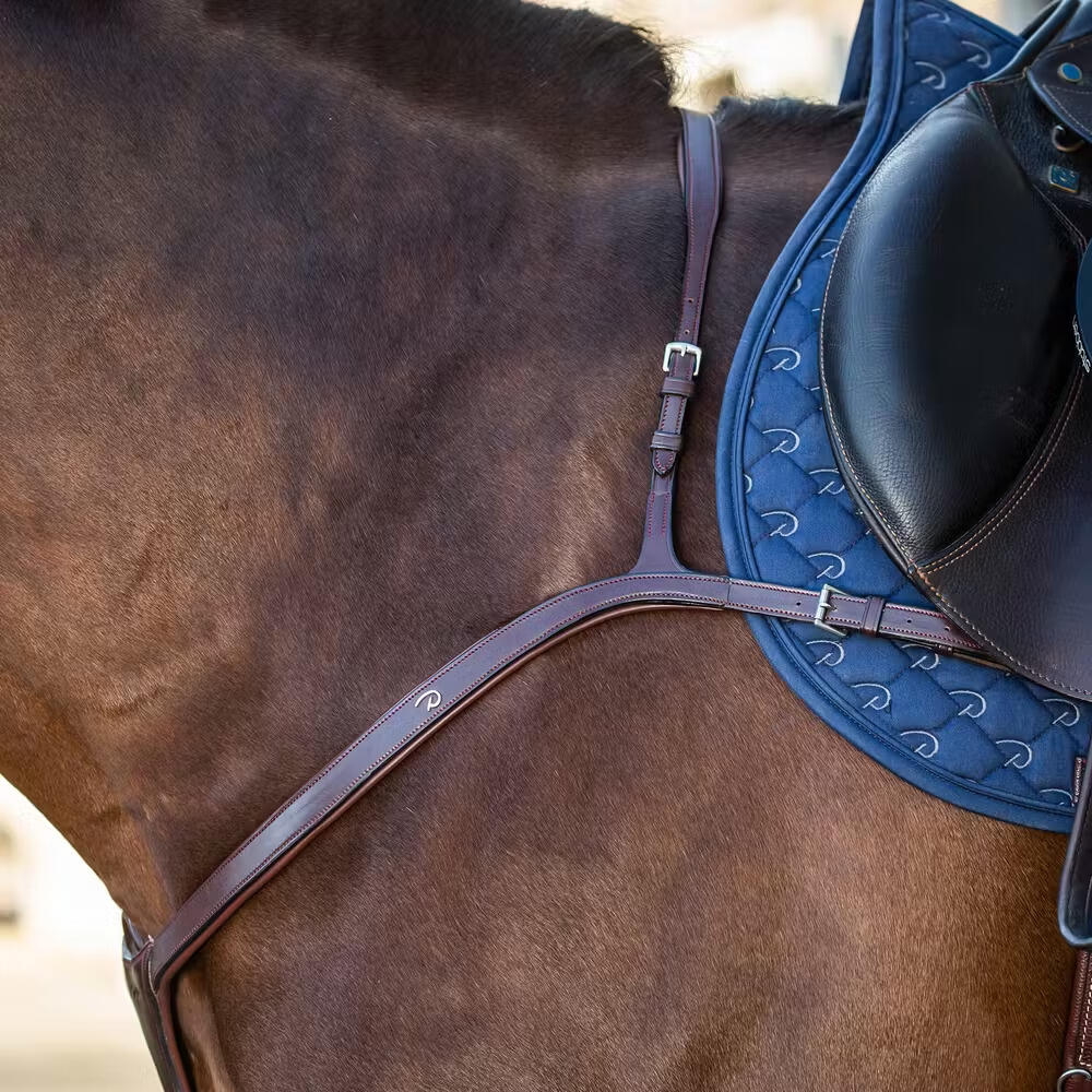 Collier de chasse pour cheval Dy'on New English Collection 2/2