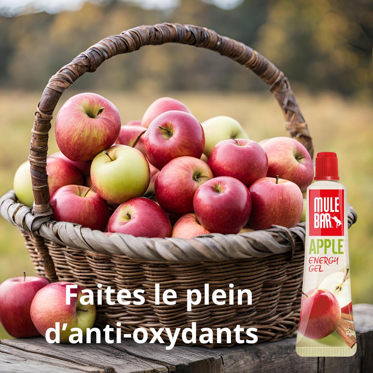 Eco-recharge 12 gels ou boisson énergétique - Mulebar - vegan - 444g - Pomme 6/6