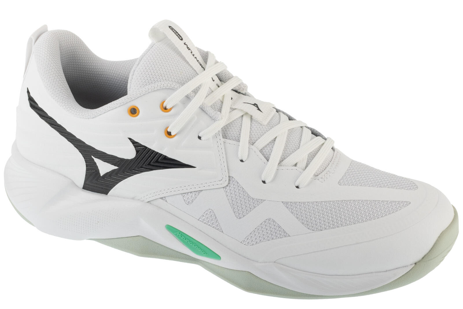 MIZUNO picture