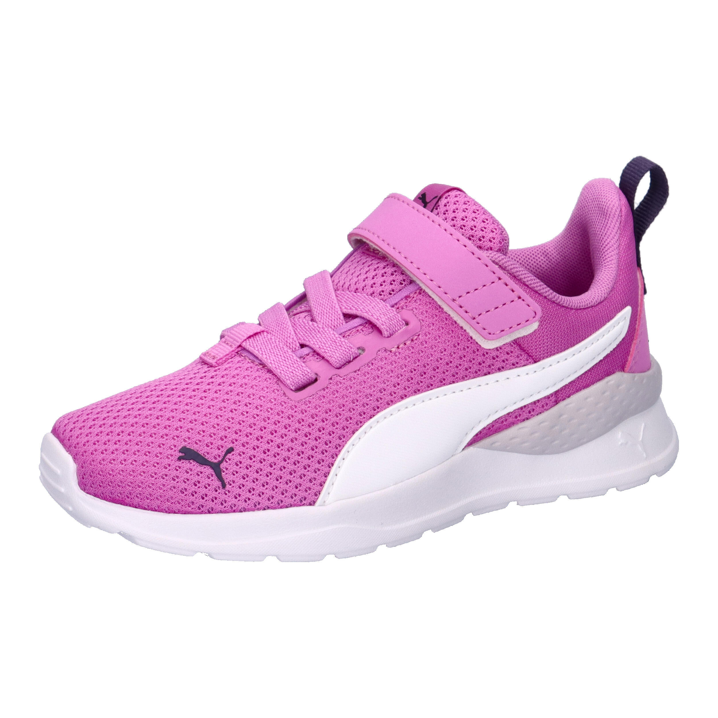 PUMA picture