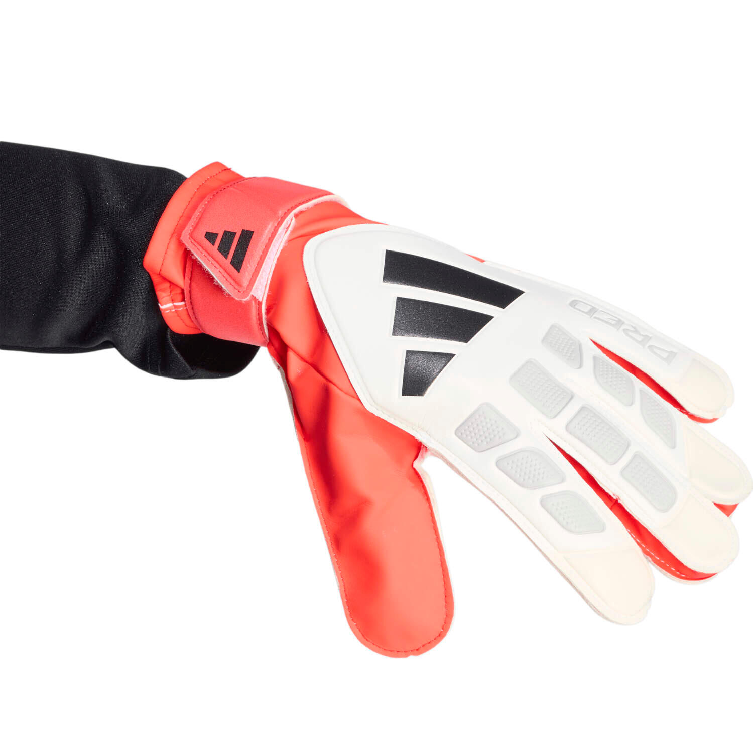 GUANTES DE PORTERO DE ENTRENAMIENTO PREDATOR 5/7