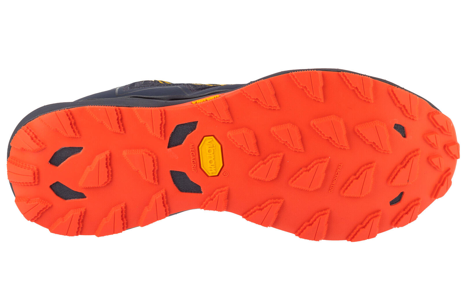 Sapatos de trail Mizuno Wave Daichi 9 4/5