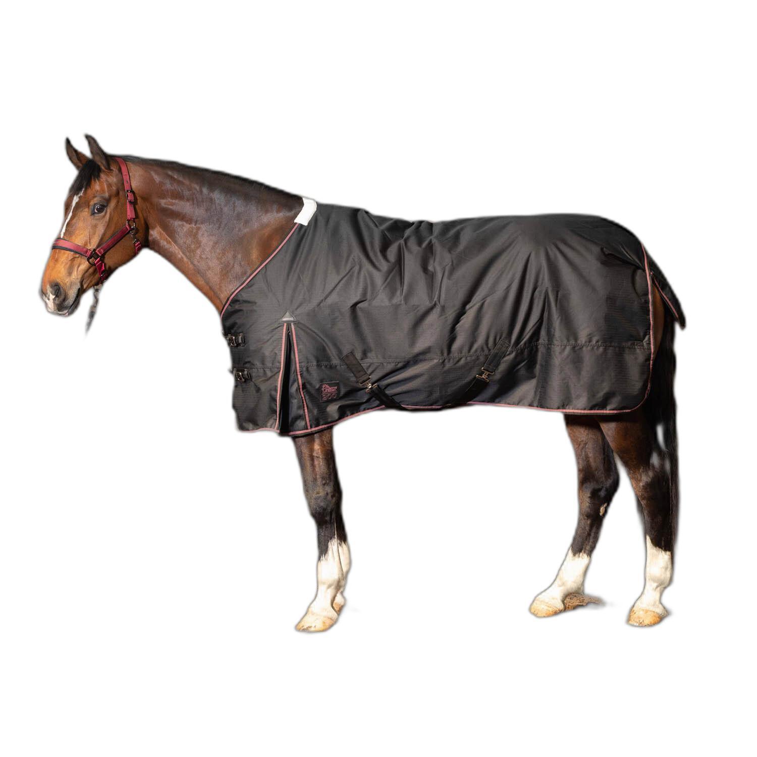 Wasserdichte Outdoor-Decke für Pferde Harry's Horse Thor 200g 2/2