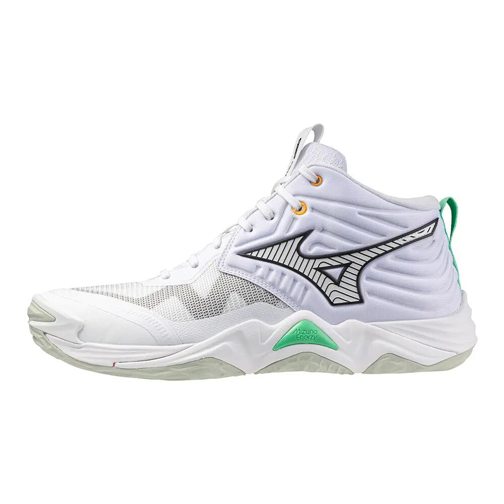 Indoor schoenen Mizuno Wave Momentum Elite Mid 3/6