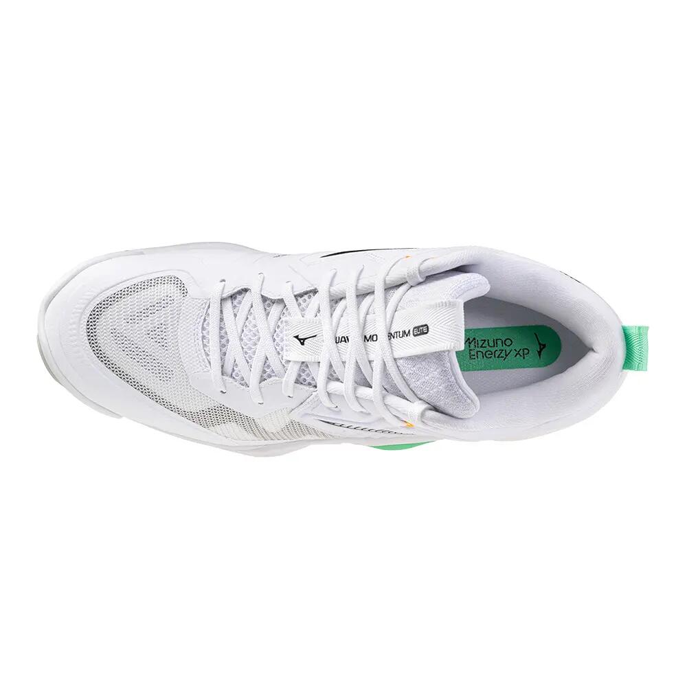 Indoor schoenen Mizuno Wave Momentum Elite Mid 5/6