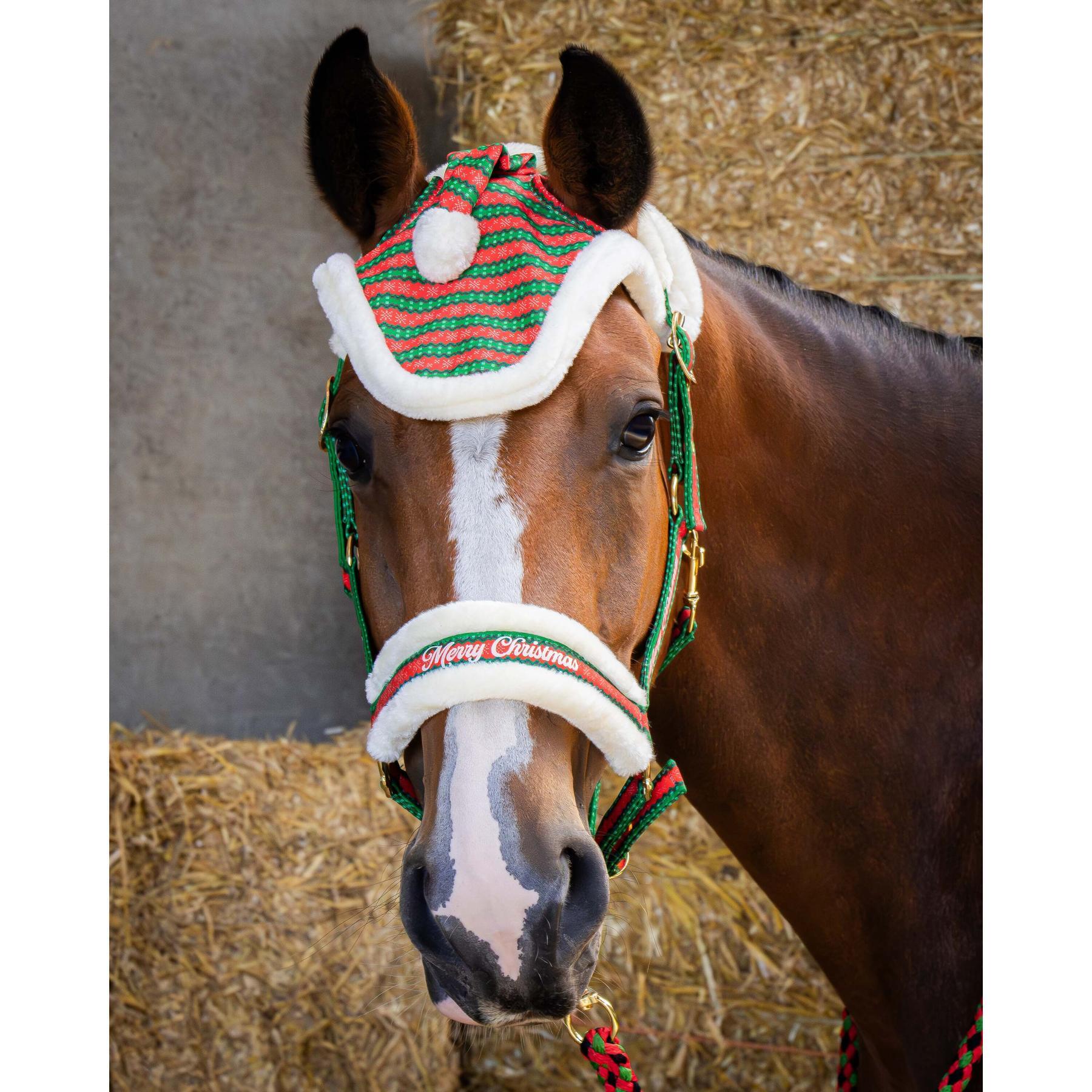 Ensemble licol, longe et bonnet pour cheval Harry's Horse Christmas 2/5
