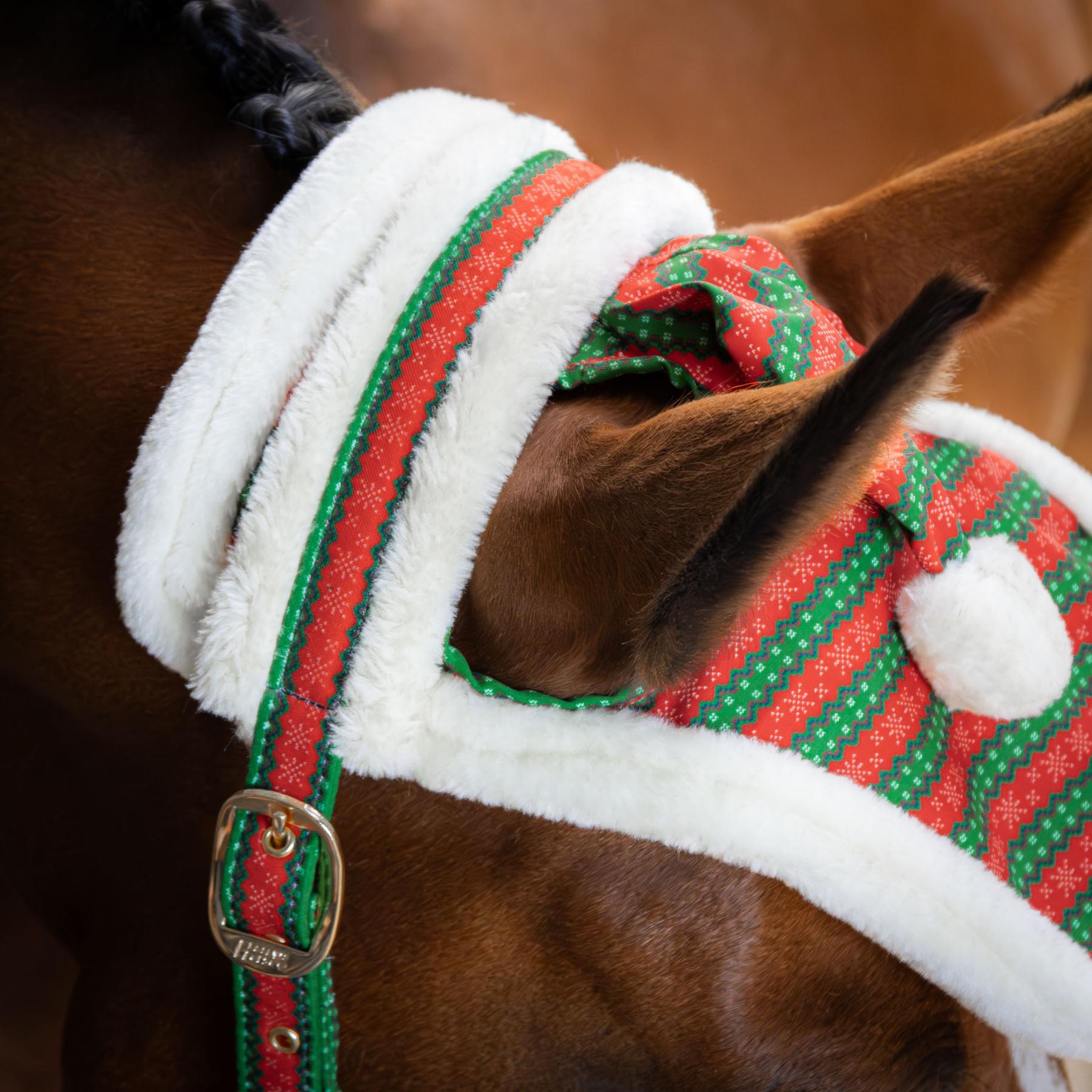 Ensemble licol, longe et bonnet pour cheval Harry's Horse Christmas 5/5