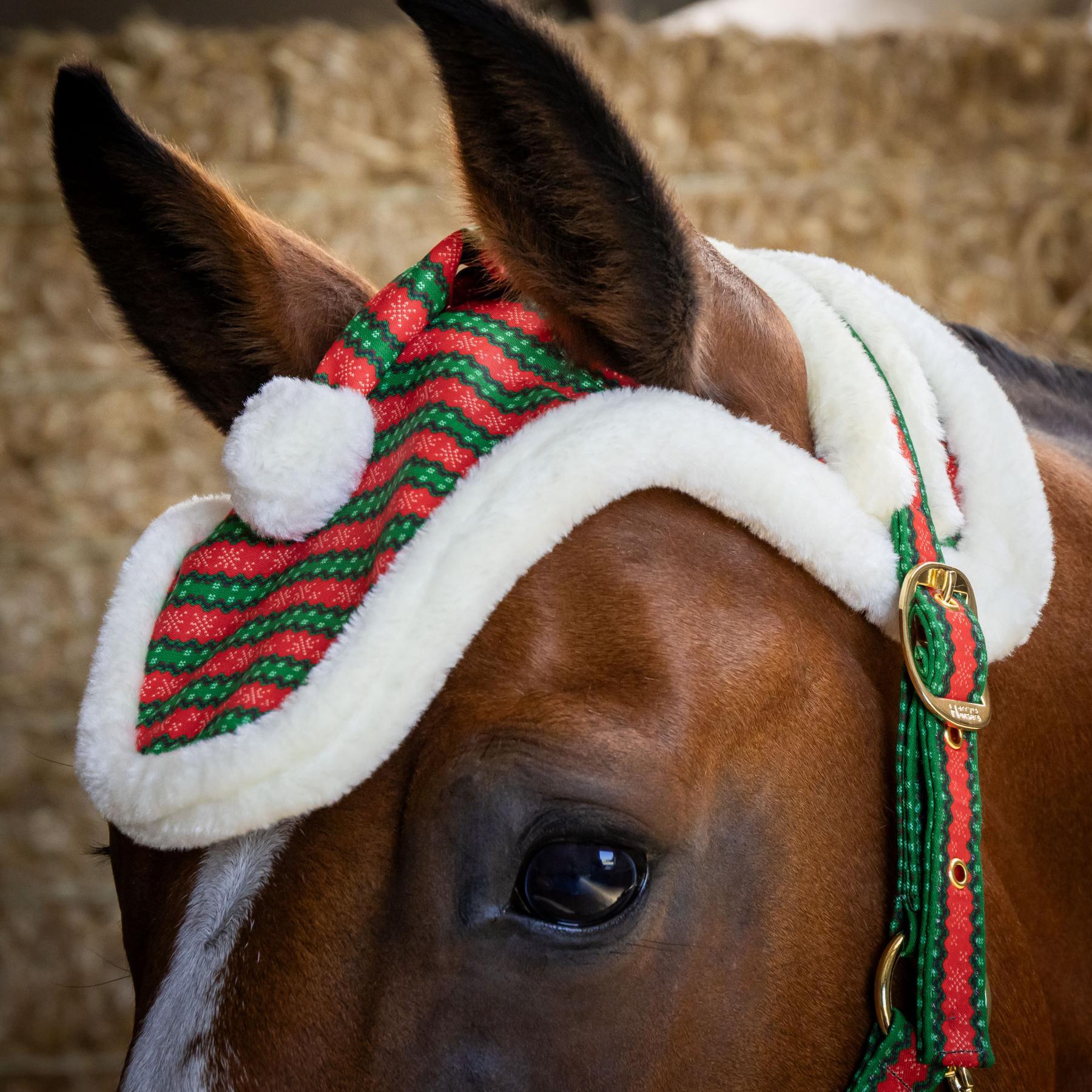 Ensemble licol, longe et bonnet pour cheval Harry's Horse Christmas 4/5