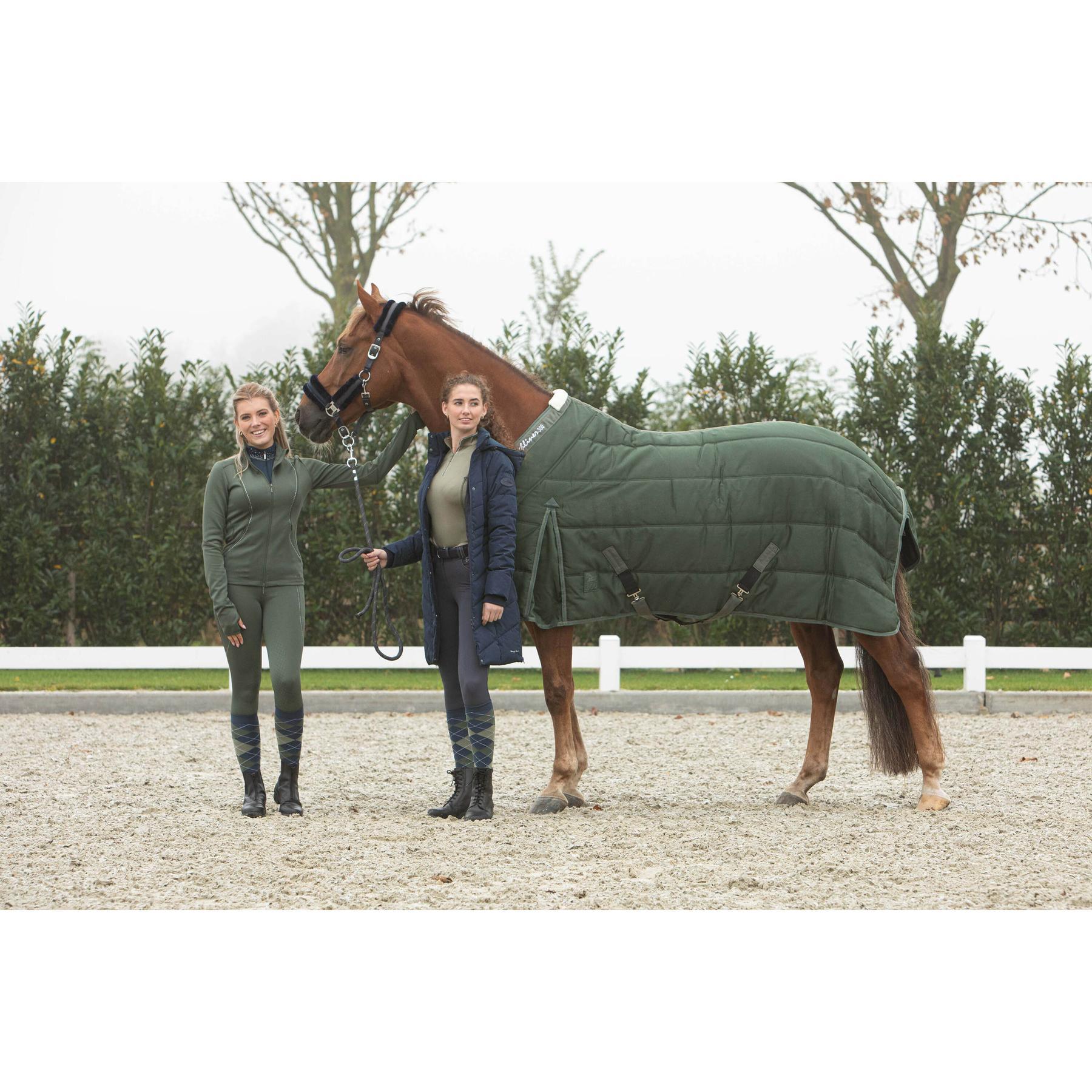 Coperta da box per cavalli Harry's Horse Highliner 300 WI25 300g 3/3