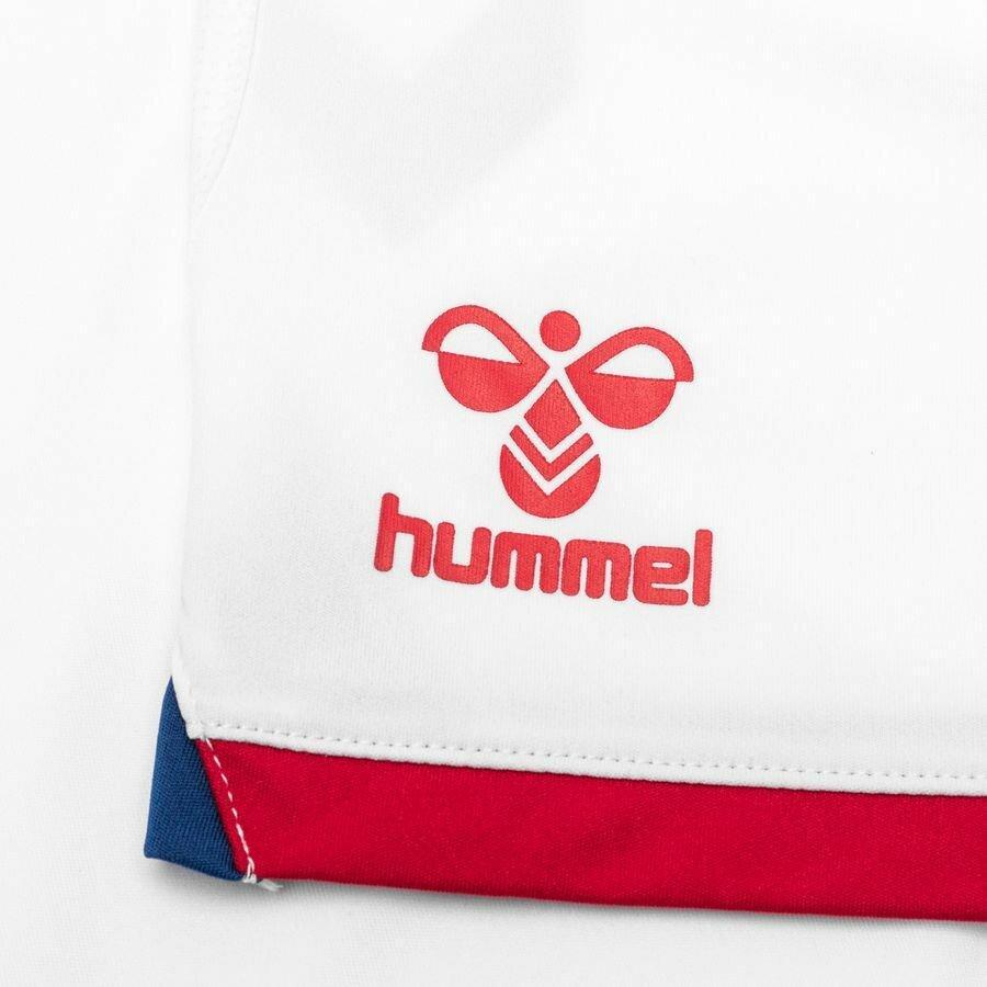 Pantalones cortos para el hogar Danemark 2020/21 4/5