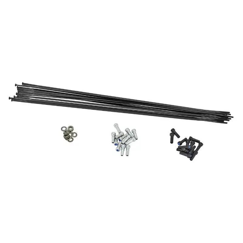Straight head stainless steel rod Mavic (x12)