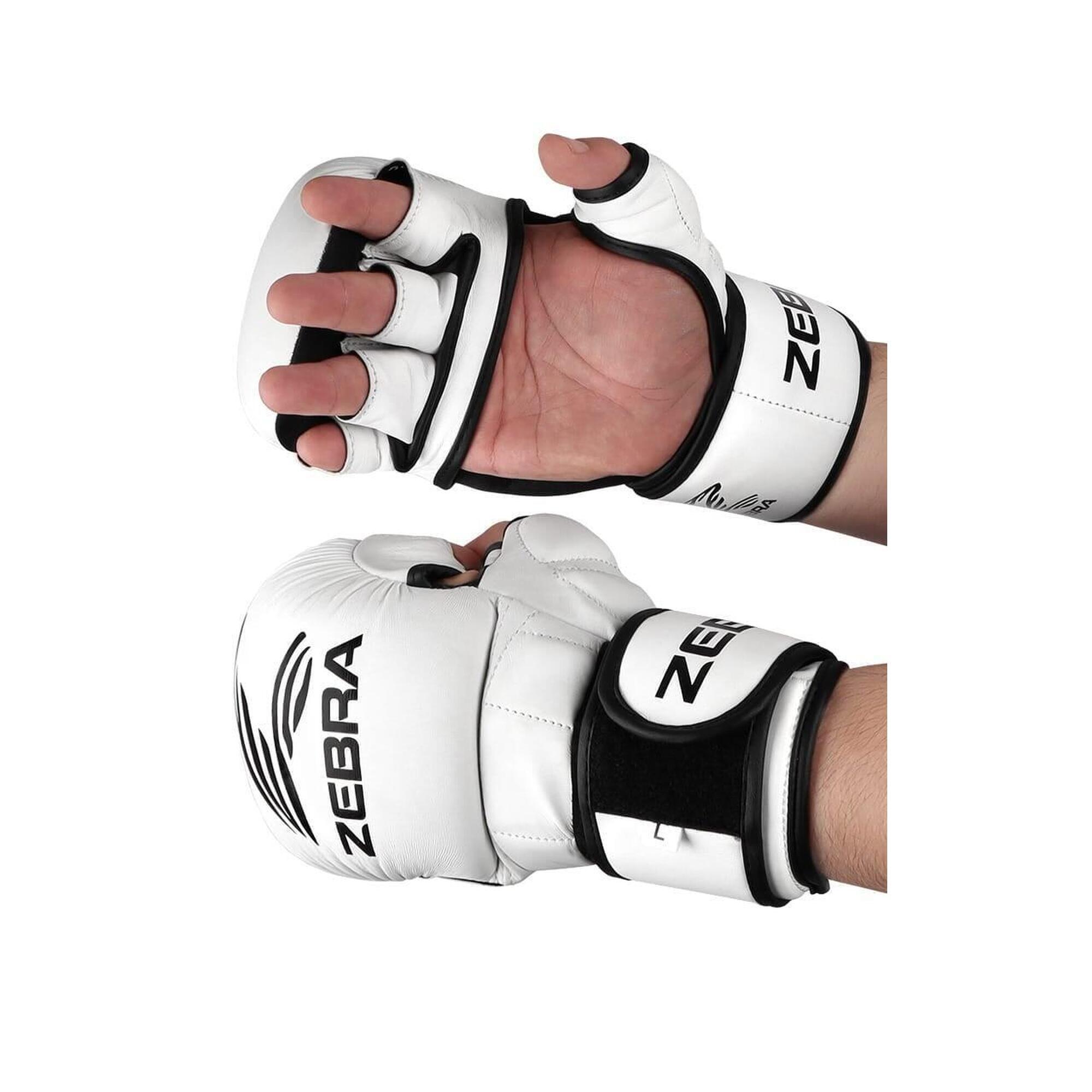 Manusi ZEBRA MMA Sparring Albe