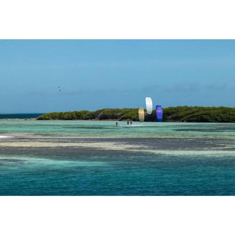Kite de kitesurf DUOTONE Rebel SLS 2026