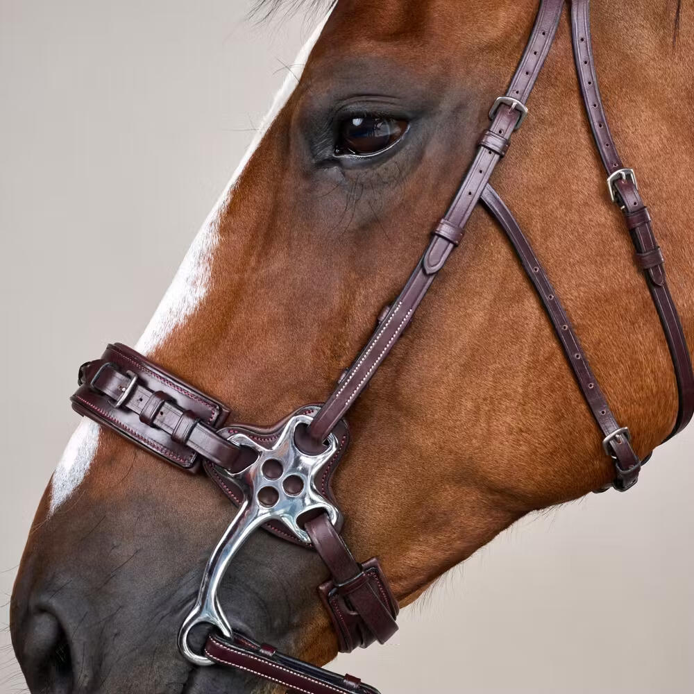 Hackamore per cavallo Dy'on US Collection 3/5
