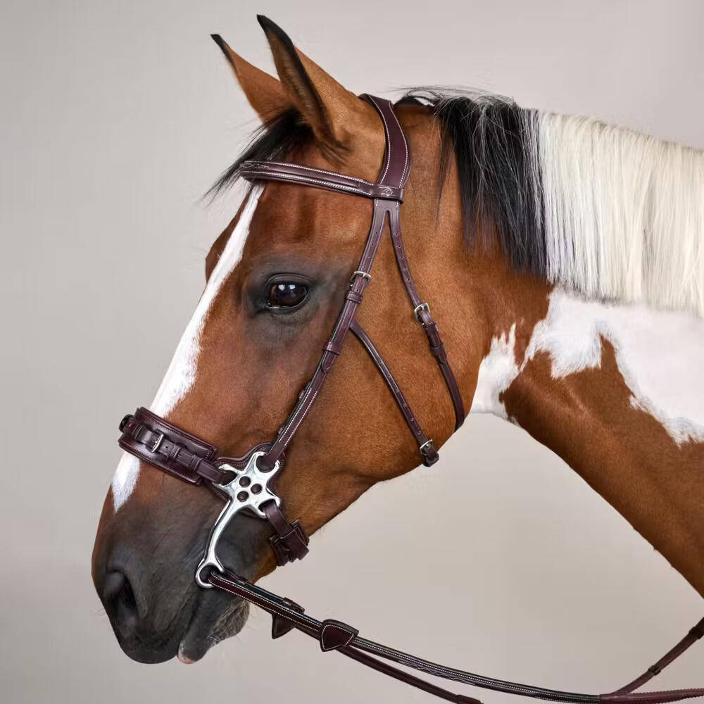 Hackamore per cavallo Dy'on US Collection 2/5