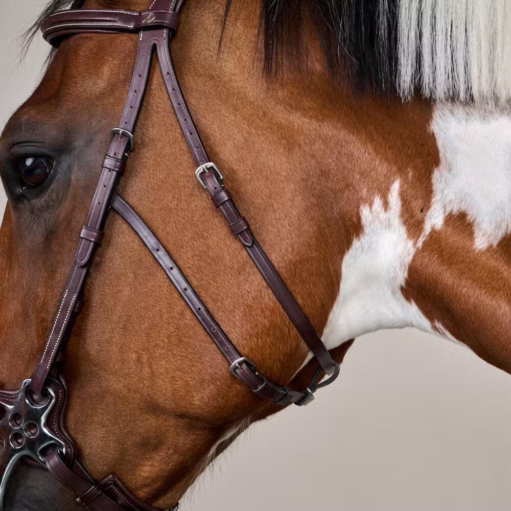 Hackamore per cavallo Dy'on US Collection 5/5