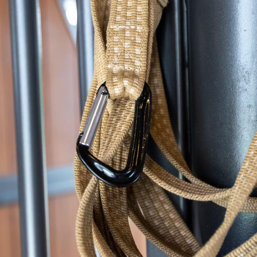 Longe équitation Kentucky Horsewear 3/3