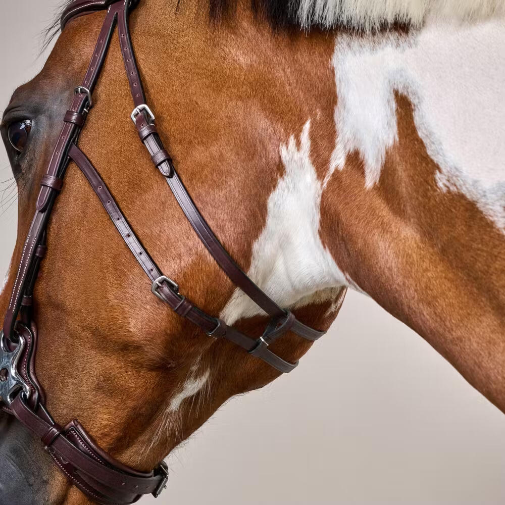 Hackamore per cavallo Dy'on US Collection 4/5