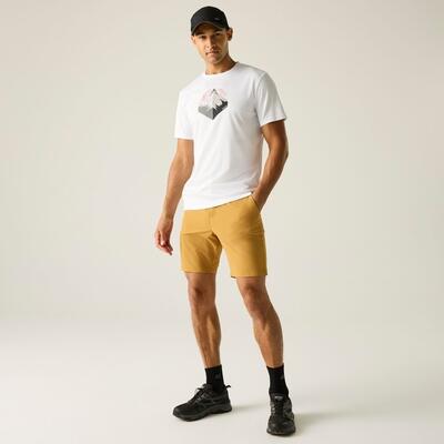 Short de voyage léger anti-insectes pour homme 3/7