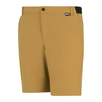 Short de voyage léger anti-insectes pour homme 7/7