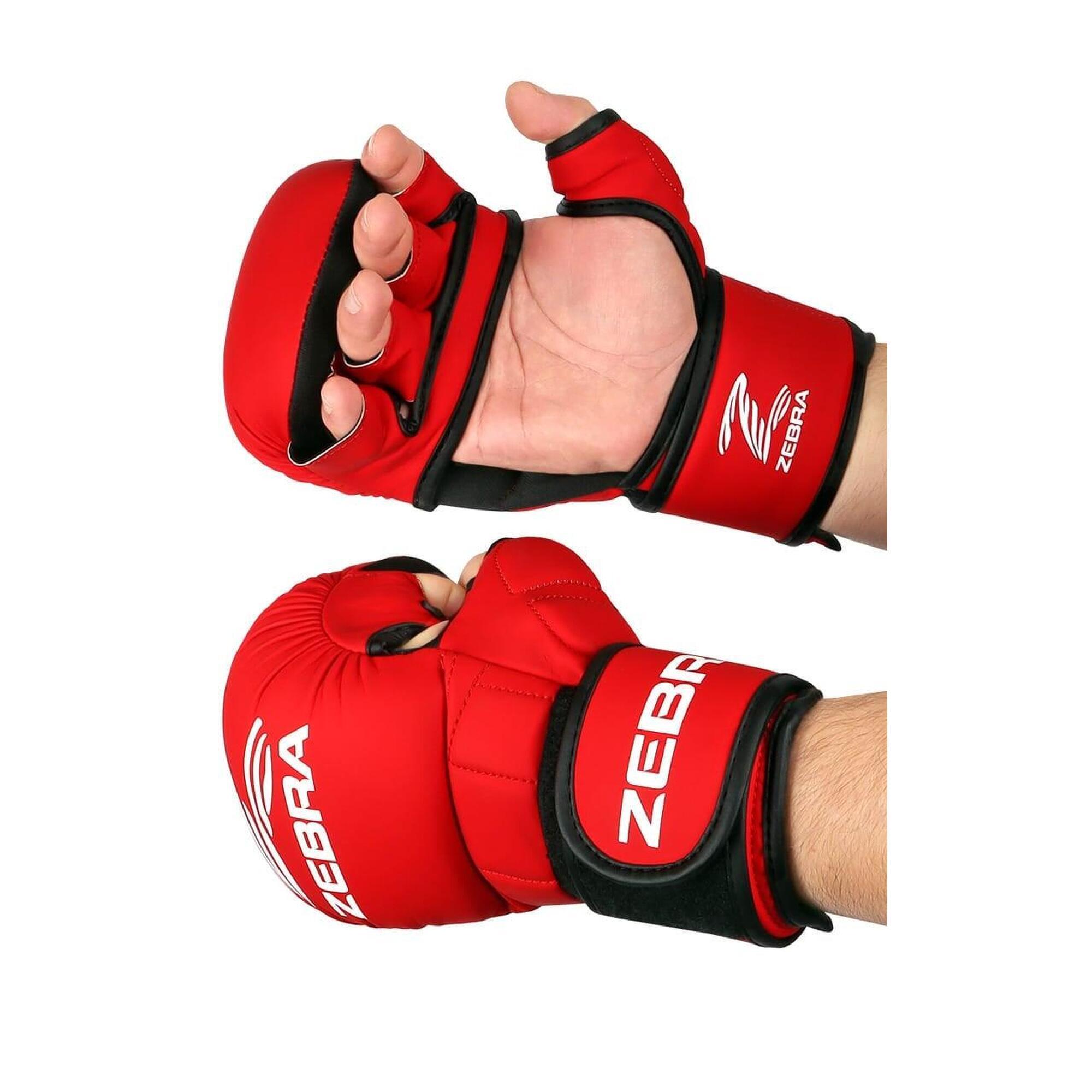 Manusi ZEBRA MMA Sparring Rosi