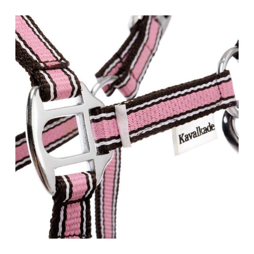 Licol pour cheval en deux tailles différentes Kavalkade Shorty 2/3
