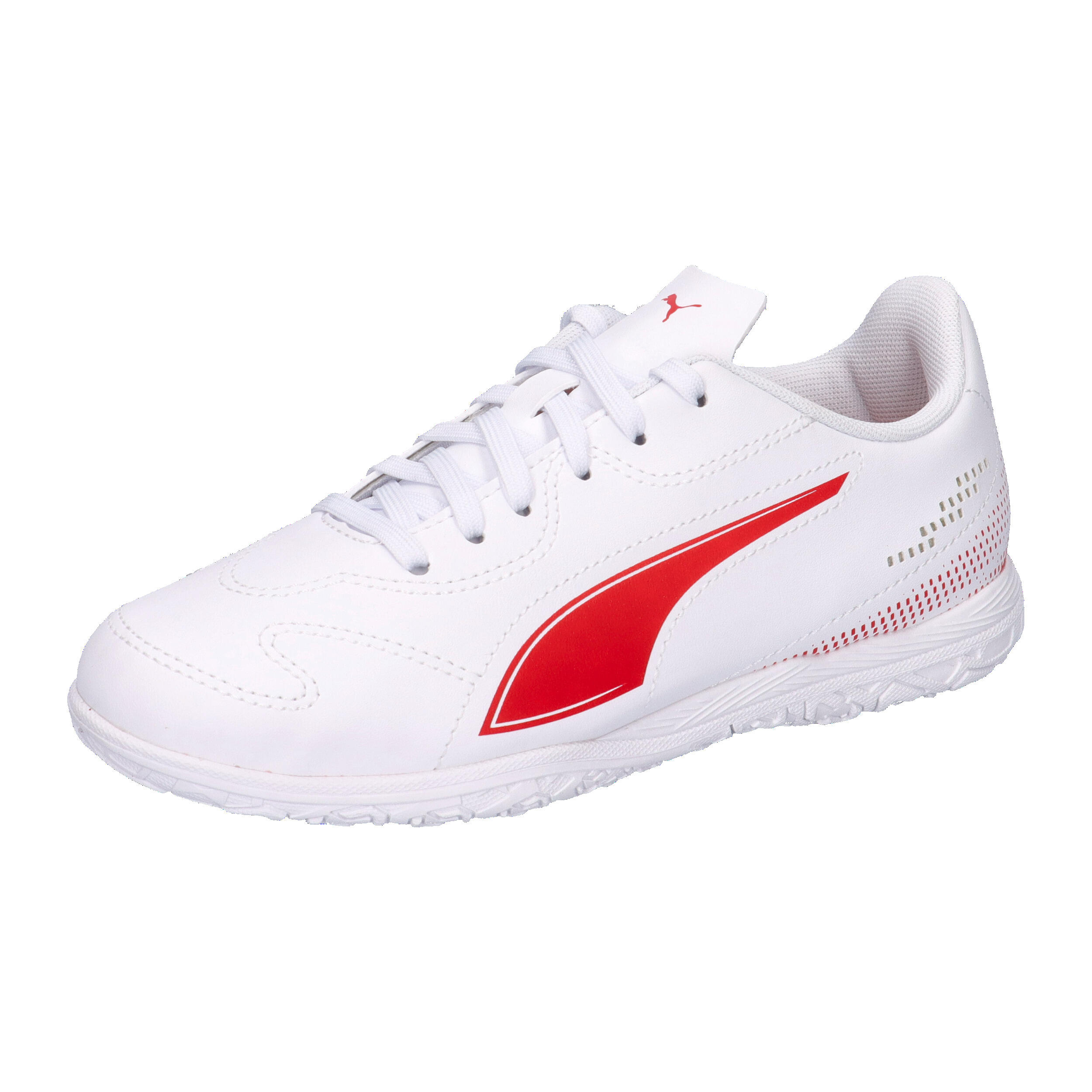 PUMA picture