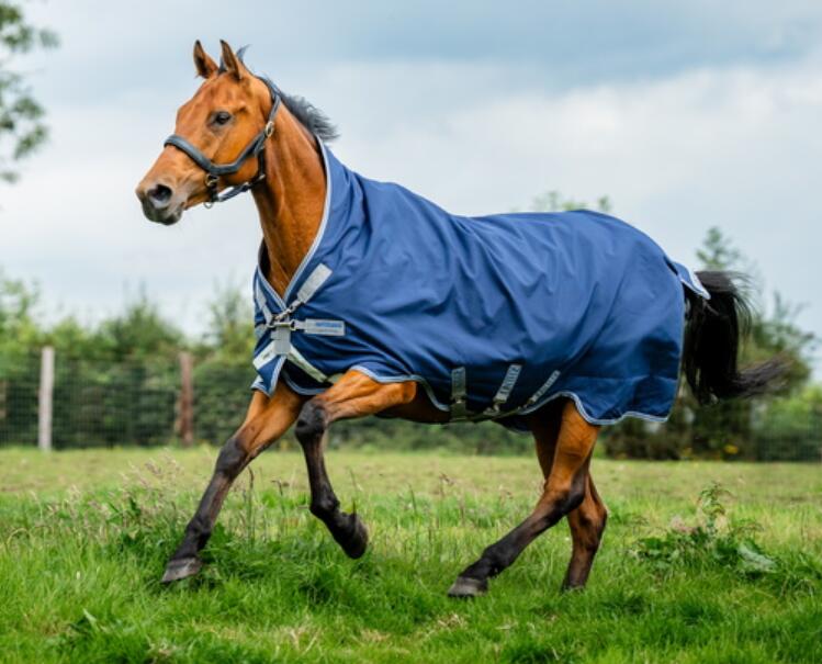 HORSEWARE IRELAND picture