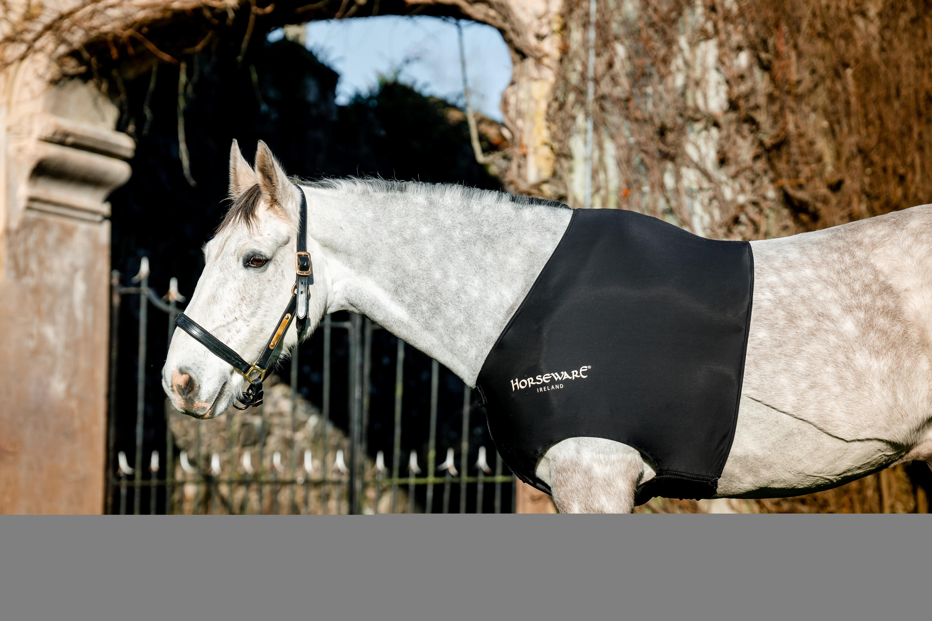 HORSEWARE IRELAND picture