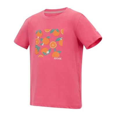 Bosley T-shirt met korte mouwen en grafische print voor kinderen 7/7