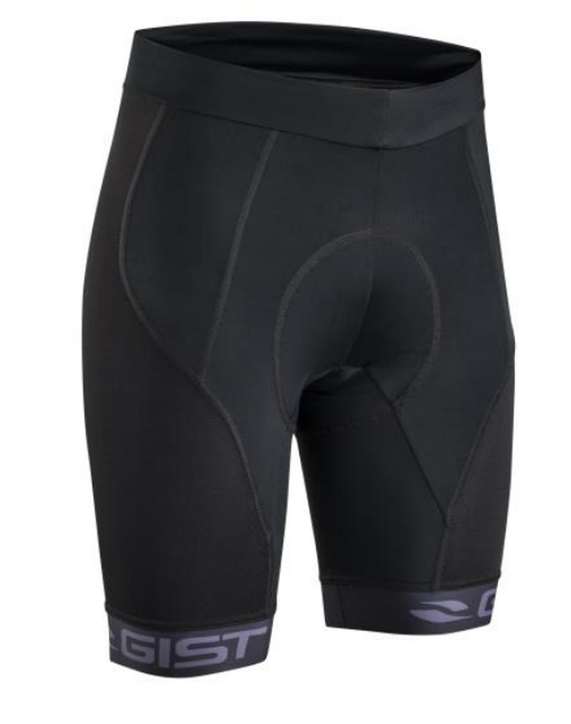 GIST picture