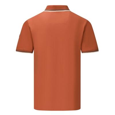 Polo da uomo Adryan Tipped 7/7
