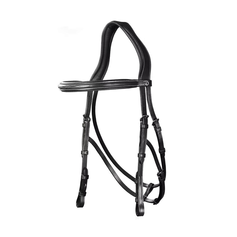 Hackamore for horse Dy'on US Collection
