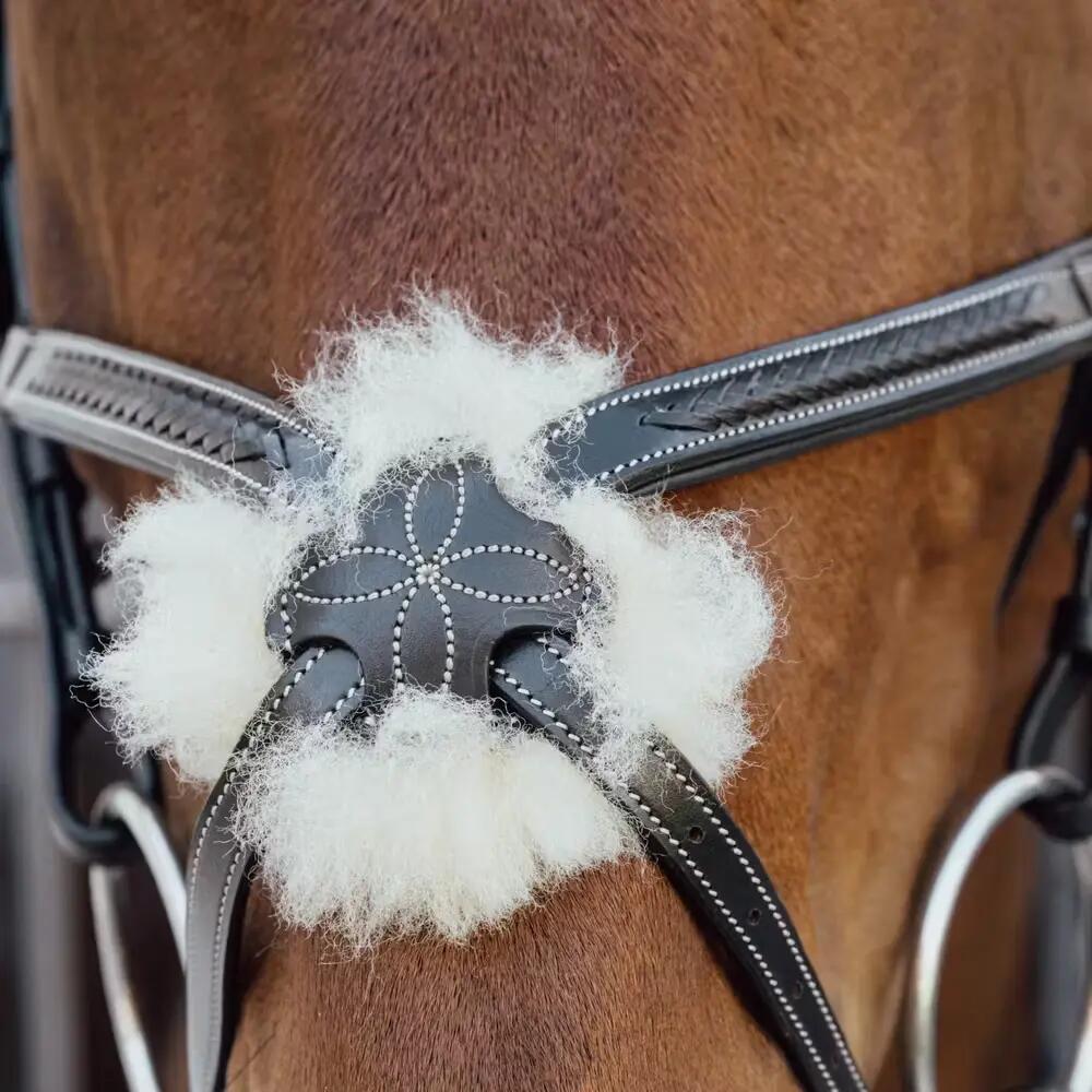 Muserolle cheval tressée en forme de 8 Dy'on 2/2