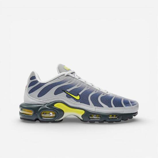 Nike Air Max Plus Obsidian Silver (GS)
