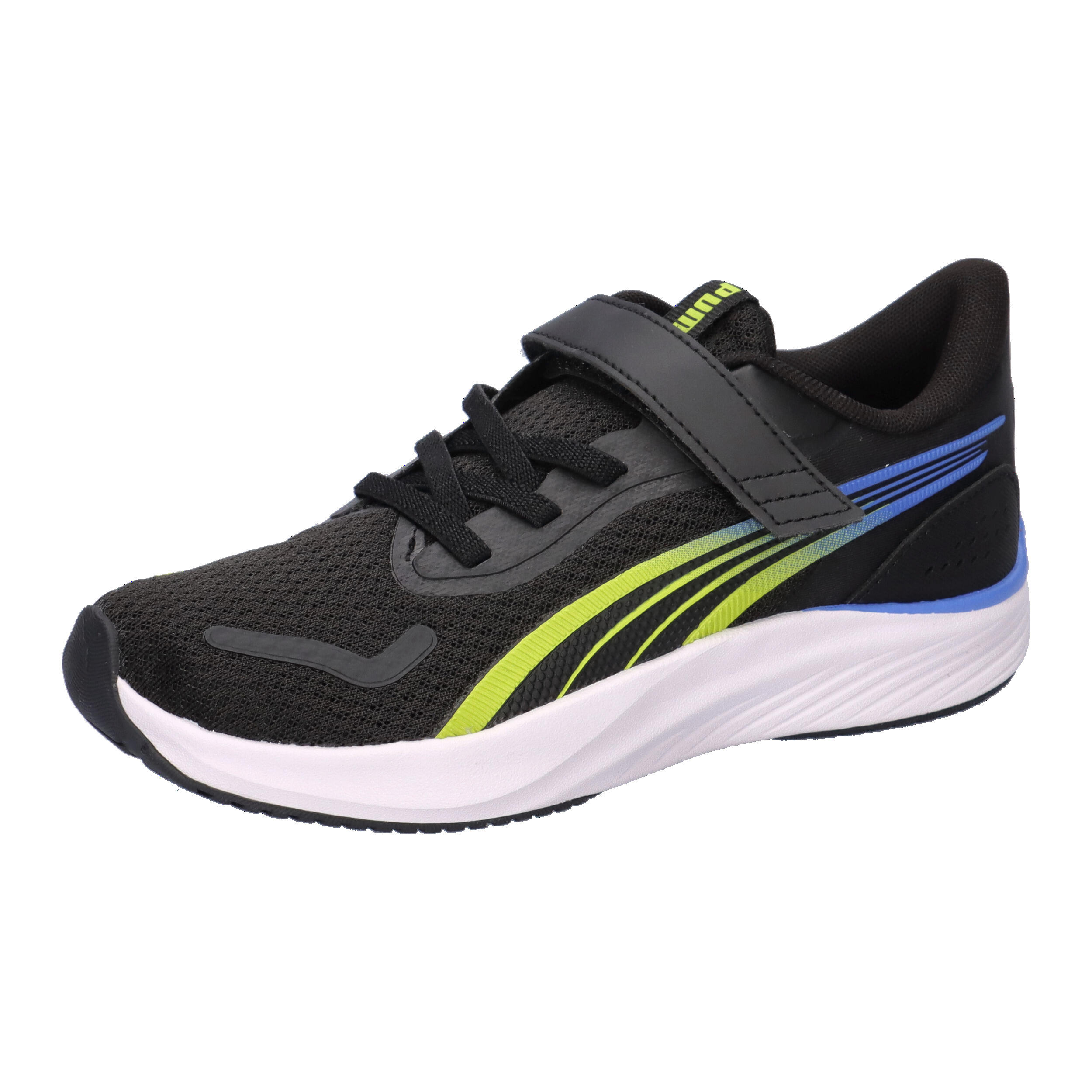 PUMA picture