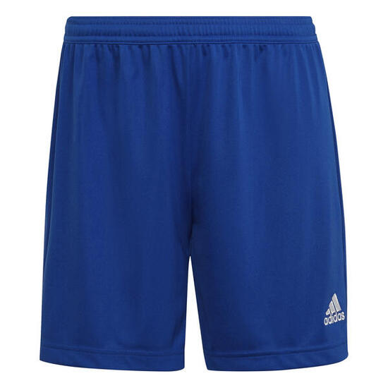 adidas Damen Short Entrada 22 Shorts