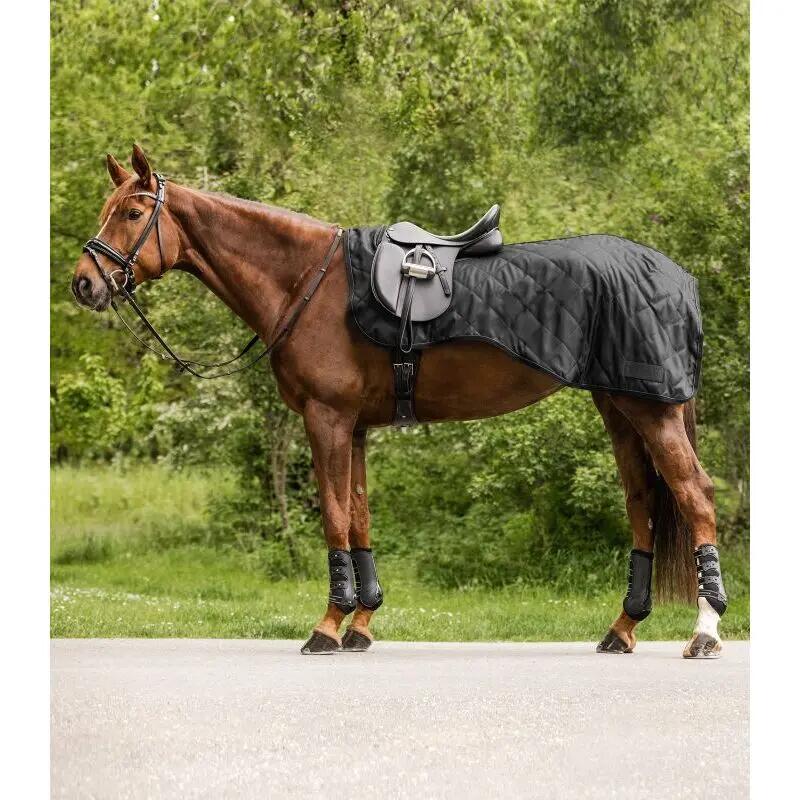 Waterproof Hindquarters Covers Waldhausen Exclusive