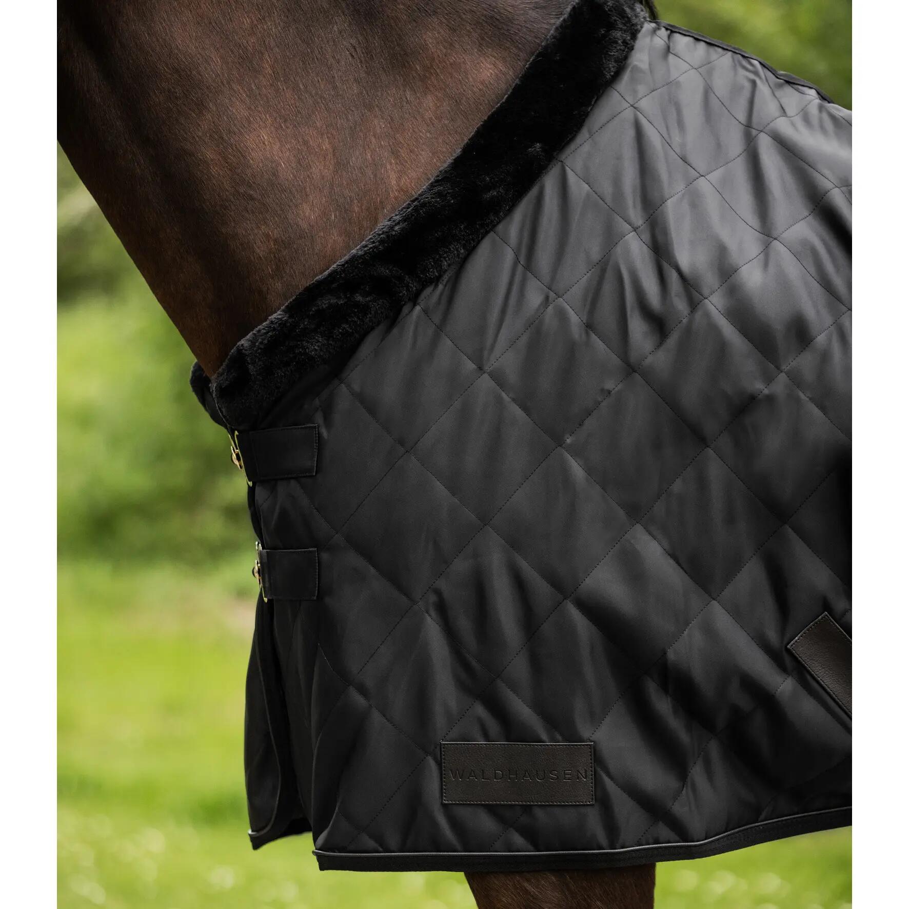 Stable Blanket Waldhausen Exclusive 50 g 3/4