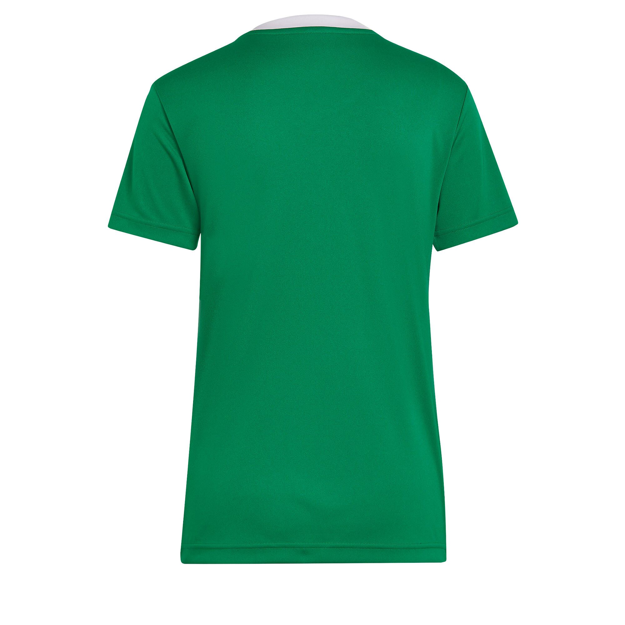 Trikot Damen adidas Entrada 22 5/7