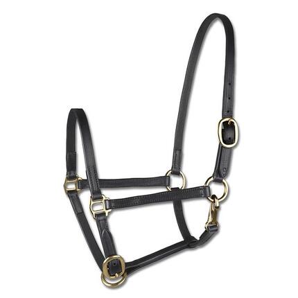 Licol de présentation pour poney en cuir Star