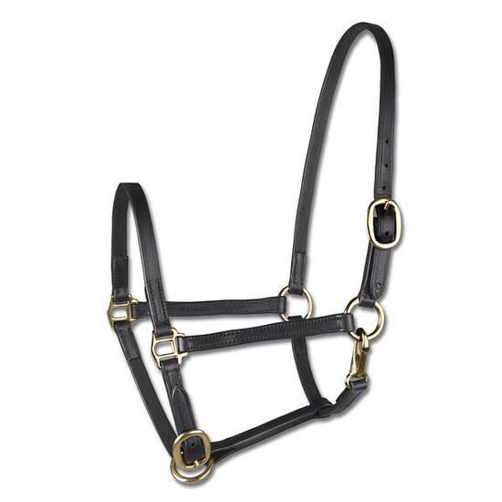 Licol de présentation pour poney en cuir Star