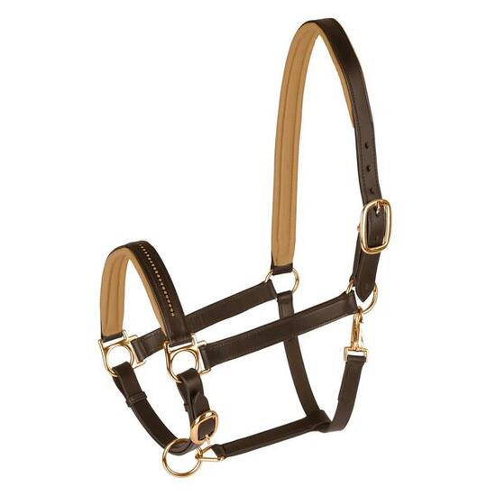 Licol pour cheval Star Diamond