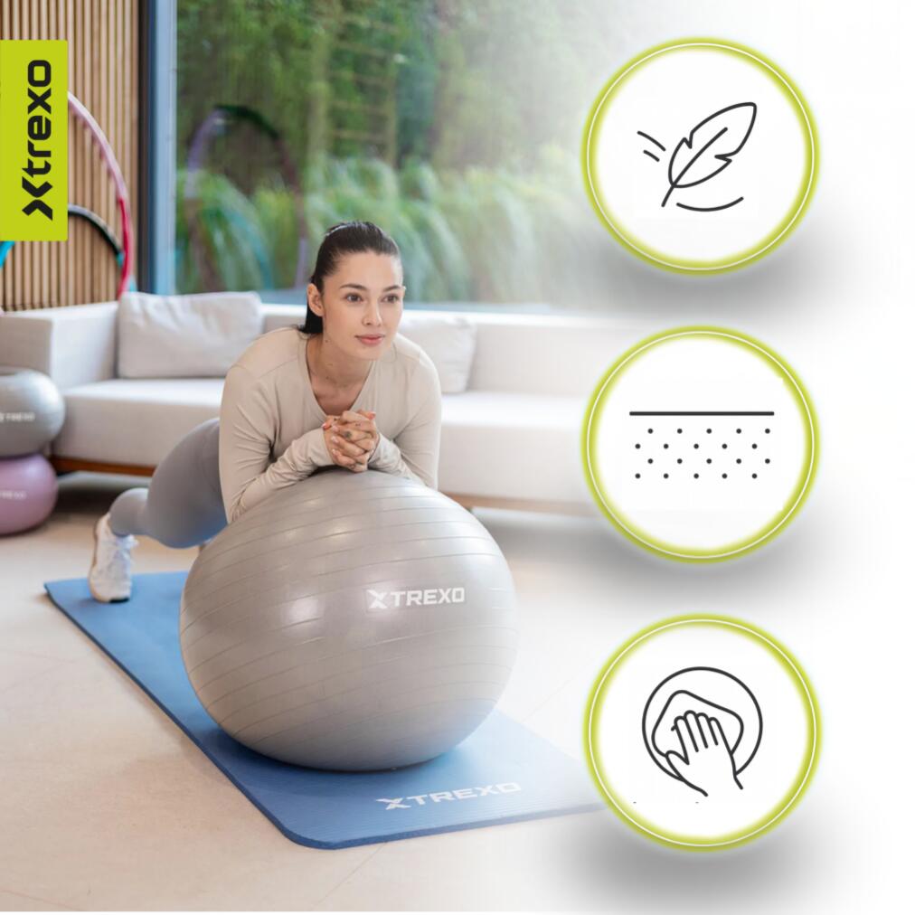 Pelota de gimnasia XTREXO TXO-B4Z008-GY 3/7