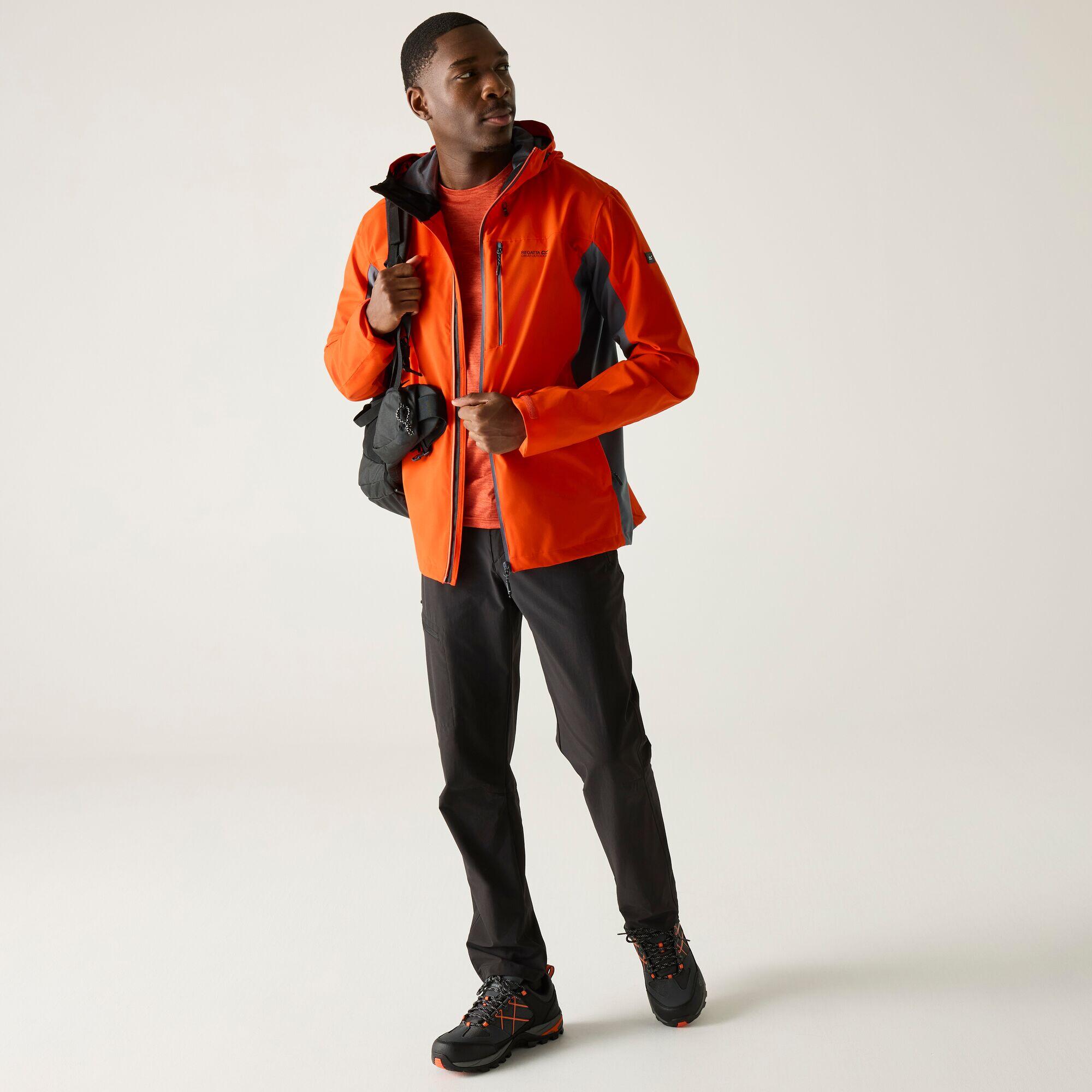 Veste - Birchdale homme 3/7