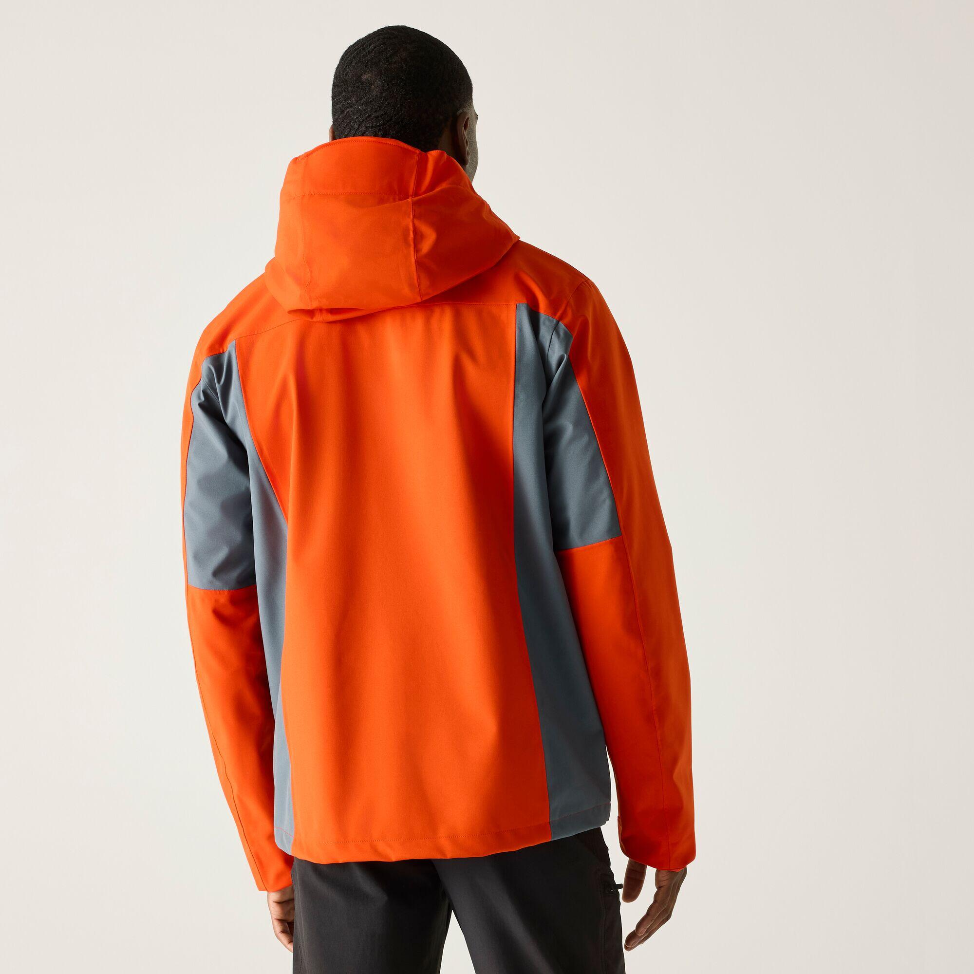 Veste - Birchdale homme 2/7